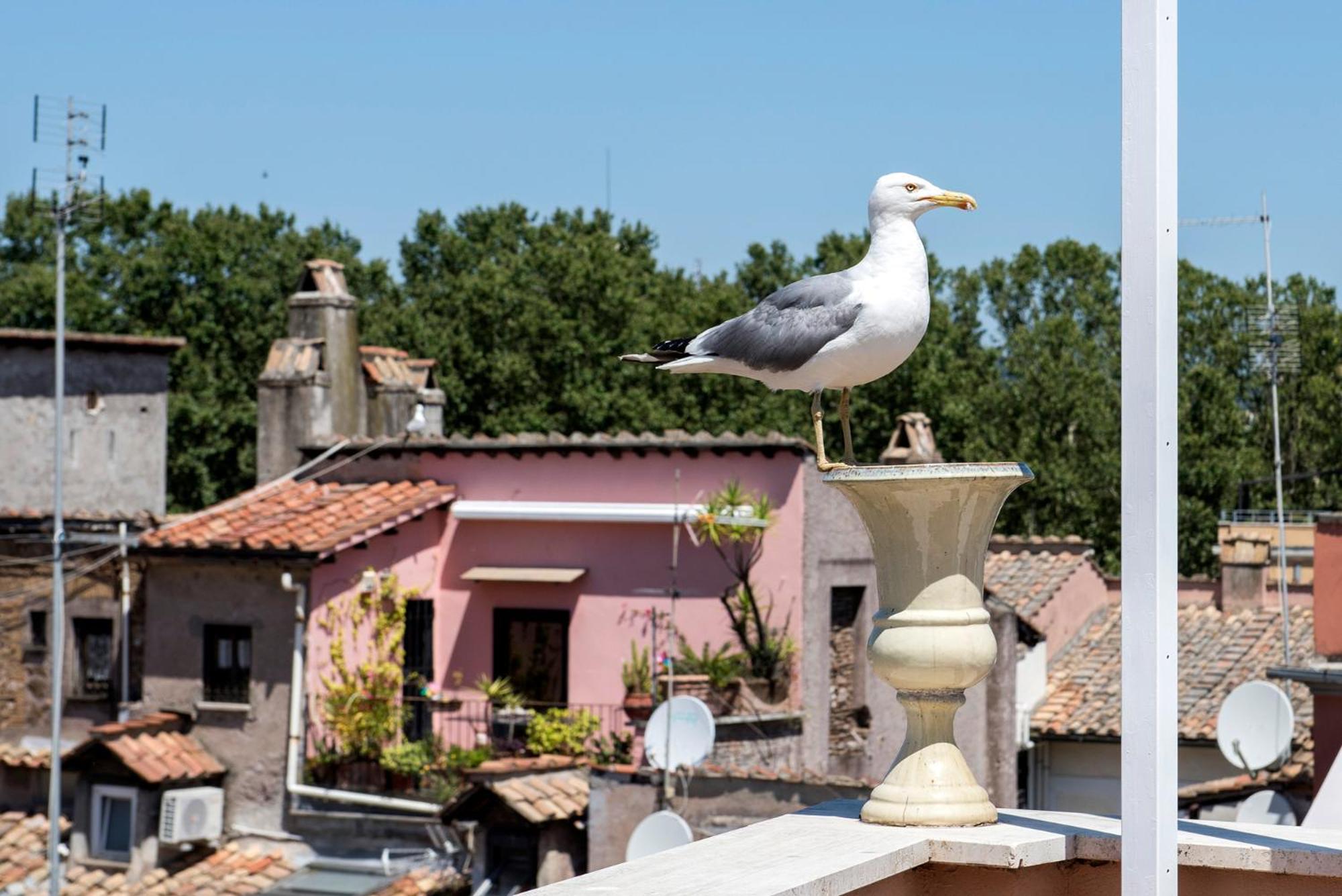 Apartamento Chiostro Del Bramante Accomodation